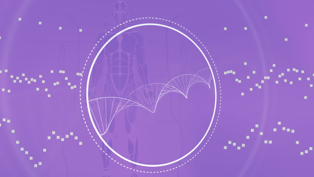 dna와 인간 모델의 애니메이션이 보라색 바탕에 있습니다.