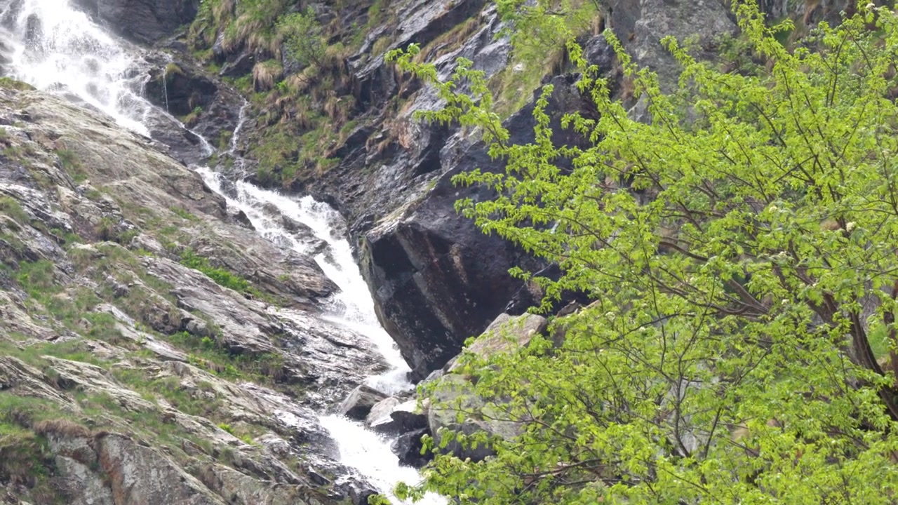 Un torrente di montagna scorre su rocce scoscese e fogliame verde a Entracque, Italia.