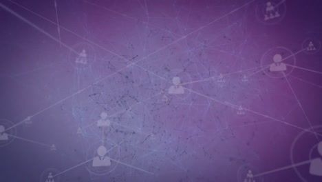 animación de la red de conexiones sobre fondo púrpura