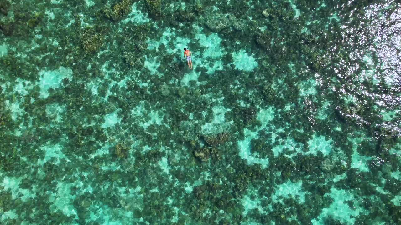Aerial view of a person swimming over a coral reef in clear turquoise water