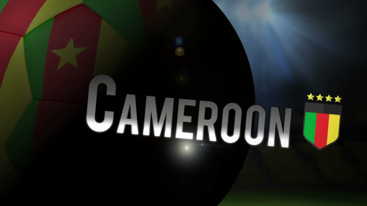 cameroon copa del mundo 2014 animación con fútbol