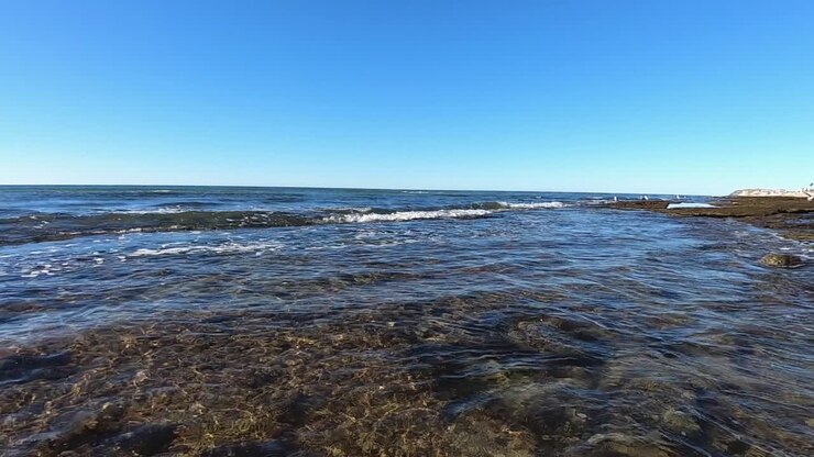 La telecamera a livello dell'acqua cattura un gabbiano solitario che attraversa l'orizzonte, Puerto Peñasco, Golfo di California, Messico.