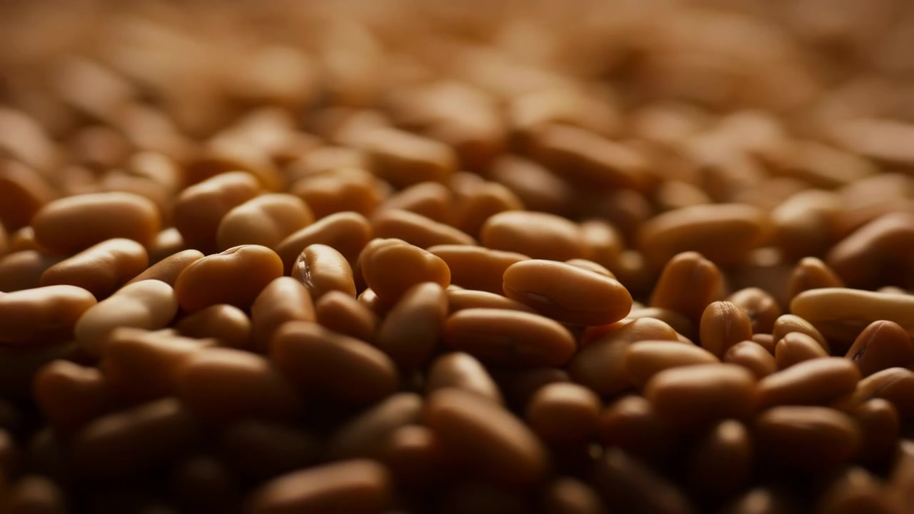 Dense pile of whole dry brown beans seen from near level macro view, with sharp focus across foreground beans while surrounding areas fade into soft blur, creating earthy texture and commercial food