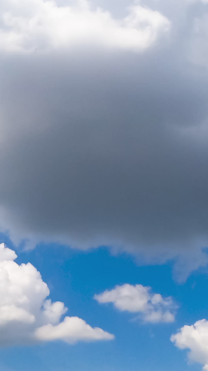 Beautiful soft clouds transforming in the atmosphere. Cumulus clouds are lit with bright summer sun. Low angle view. Timelapse. Vertical video