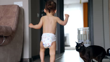 rear view of a toddler in diaper running by the house. black cat looks at camera and then follows a baby.