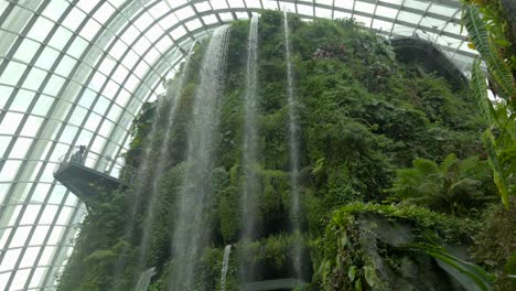 Jardines-Del-Bosque-Nuboso-Junto-A-La-Bahía-Singapur-Tiro-Panorámico