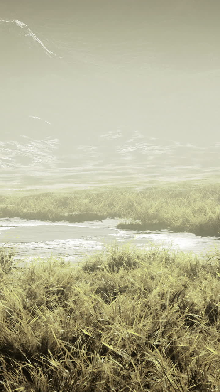 Misty morning at a tranquil lake surrounded by lush grass and mountains