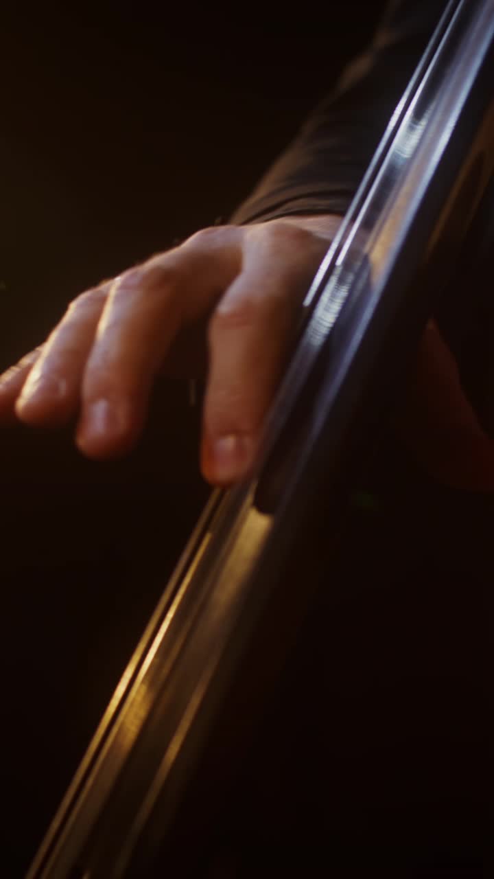Person Playing Double Bass