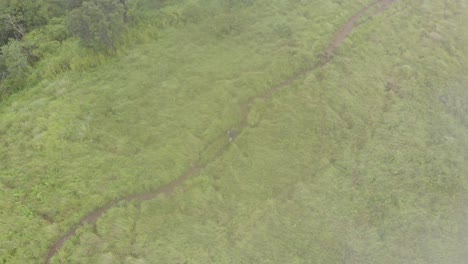 4k-Aerial-Tracking-Shot-of-a-25-year-old-Indian-Male-trekking-on-the-top-of-Shirui-Peak-getting-covered-by-fog,-Ukurul,-Manipur,-India