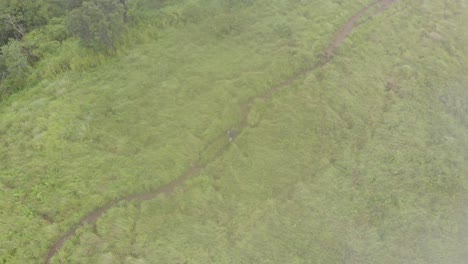 toma de seguimiento aéreo de 4k de un hombre indio de 25 años caminando en la cima del pico shirui cubierto por niebla, ukurul, manipur, india