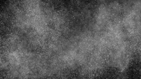 abstract digital animation white noise on black background.