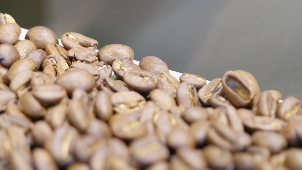 Explore the intricate journey of coffee beans from processing to drink.
