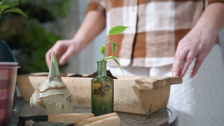 Owner stands beside glass table placing hands on wooden planter bucket filled with rich potting soil while green sprig grows out of bottle, creating indoor gardening scene by white brick wall