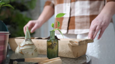 owner stands beside glass table placing hands on wooden planter bucket filled with rich potting soil while green sprig grows out of bottle, creating indoor gardening scene by white brick wall