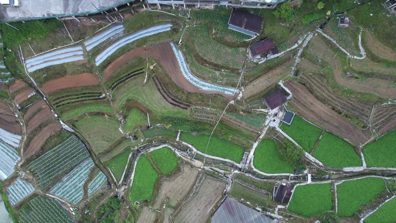 vista general del paisaje del distrito de brinchang dentro del área de cameron highlands de malasia
