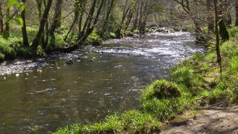 Agua-Dulce-Que-Fluye-Por-El-Río-Teign-En-El-Parque-Nacional-De-Dartmoor