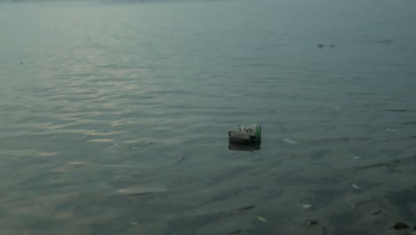 slow motion medium shot of a cup in calm waters illustrating the pollution of the seas to advocate for a better environment at golden hour