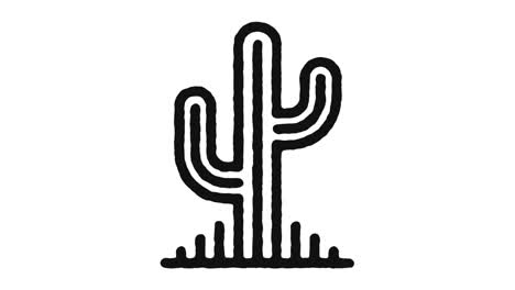 succulent plant icon animation footage & alpha channel