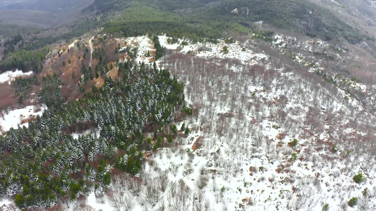drone flight above a forest in winter