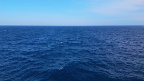 vast blue ocean with gentle waves under a clear sky