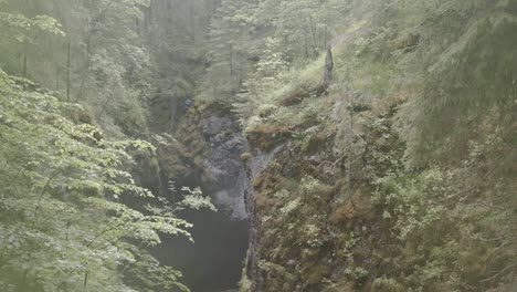 forest canyon with person