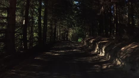 Sombras-Y-Luz-Viaje-Aéreo-A-Lo-Largo-De-Un-Camino-Forestal-Iluminado-Por-El-Sol