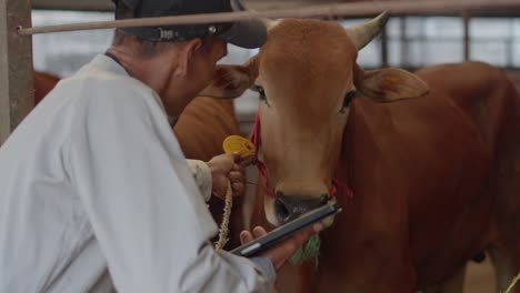 adult asian farmer using digital tablet during the check at cattle farm