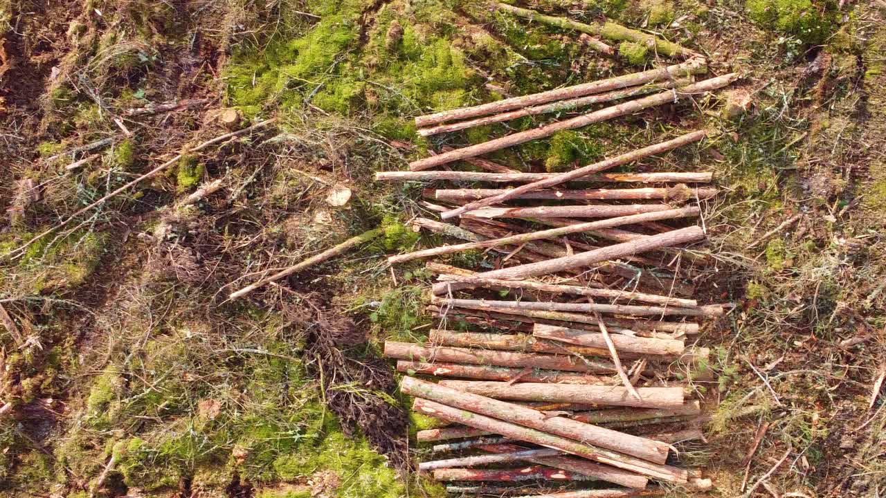 Aerial Above Log Pile. Nature Cleared for Commercial Gain. Impact of logging and environmental desctruction. Climate change, industrial impact, environmental conservation