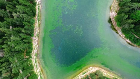 areal - lago verde styria austria - toma de vista de pájaro, movimiento hacia adelante