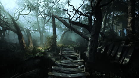 a mysterious and overgrown path through a dark forest