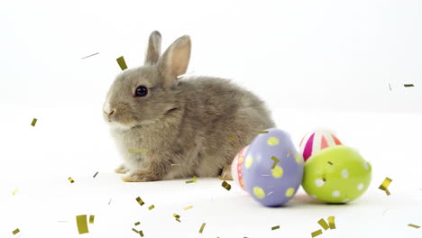 animation of confetti falling over rabbit with easter eggs on white background