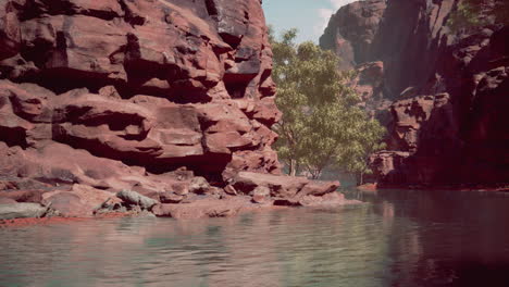 Spiegelung-Des-Grand-Canyon-Im-Colorado-River