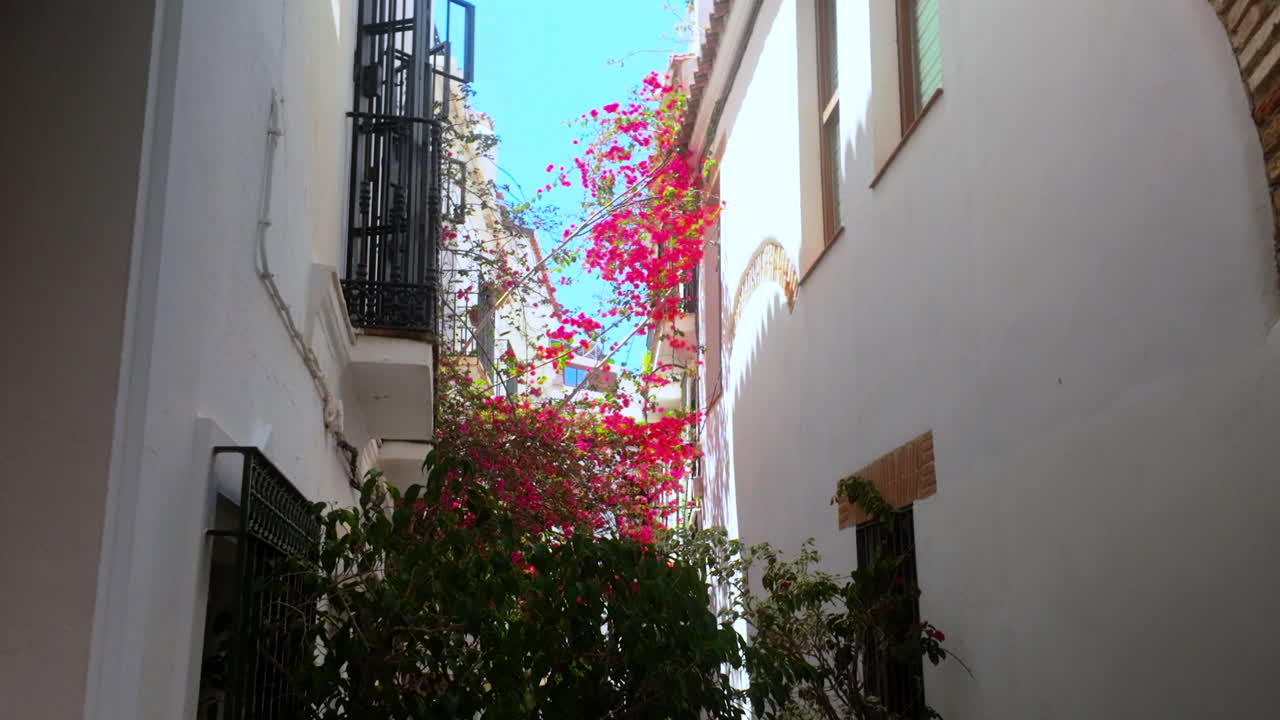 Zicht op een smalle straat in Marbella, Spanje, met rode bougainville die tegen een witte gebouwmuur opklimt, omringd door traditionele Spaanse architectuur.
