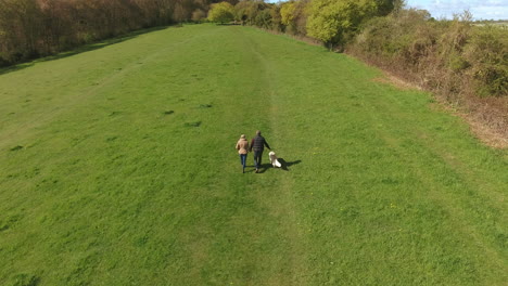 aerial shot of mature couple and dog on walk in countryside