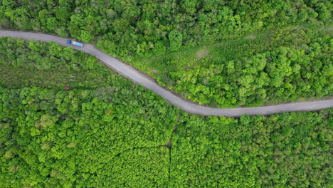 steady drone shot of a trick driving in the forest