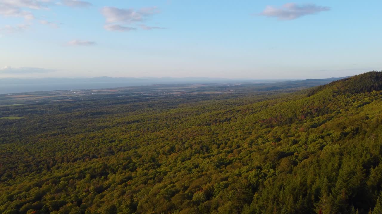 ladera de la montaña de canadá con un exuberante follaje forestal - antena con espacio de copia