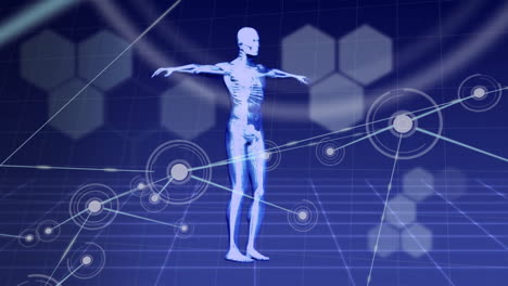 animation of human body and scientific data processing over connections