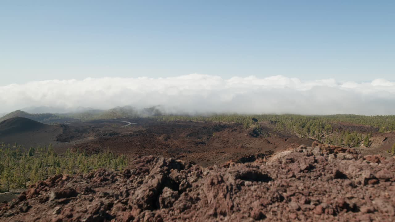 Timelapse, paesaggio roccioso vulcanico e pineta, Parco Nazionale del Teide a Tenerife, Isole Canarie.