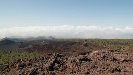timelapse, paisaje rocoso volcánico y bosque de pinos, parque nacional del teide en tenerife, islas canarias