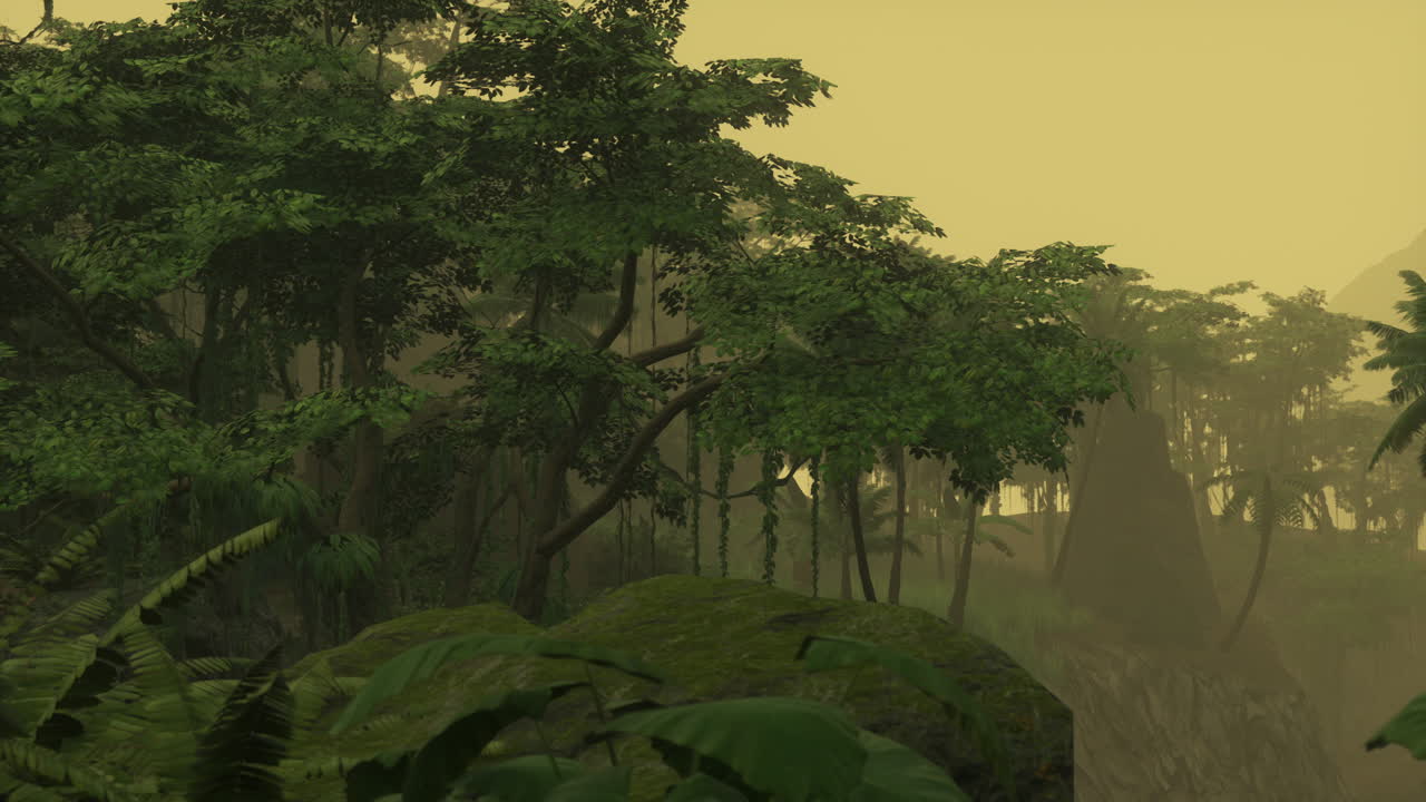 древний лавровый лес в национальном парке