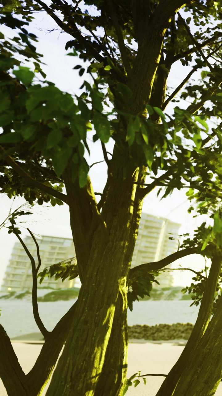 Tree stands by the shore with a building in the background during sunset