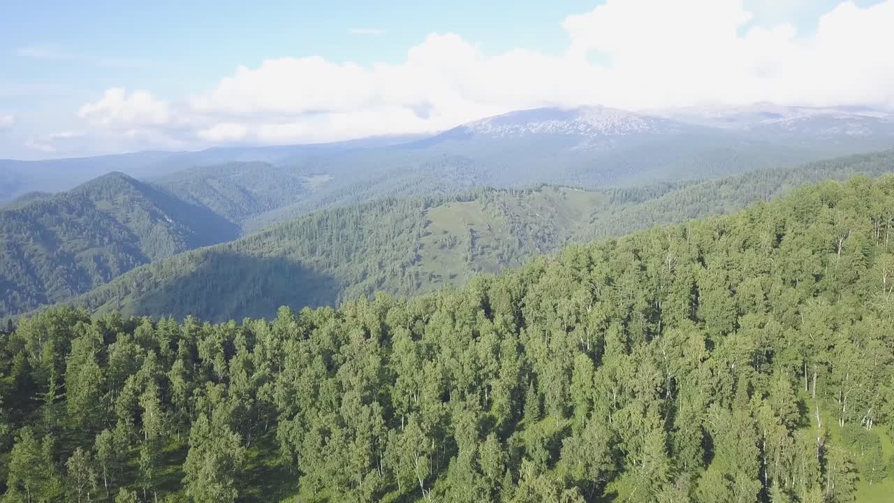 Mountainous Forest Landscape Aerial View