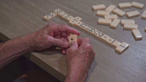 senior citizen checks his dominoes and thinks about this next move in the game