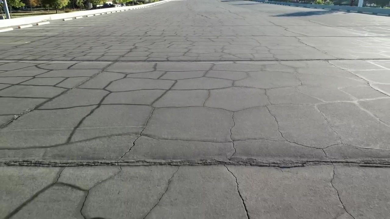 neutral, calm paved surface in outdoor daytime scene with trees in the background top-down perspective concrete stone architectural design urban planning construction gray green clean copy.