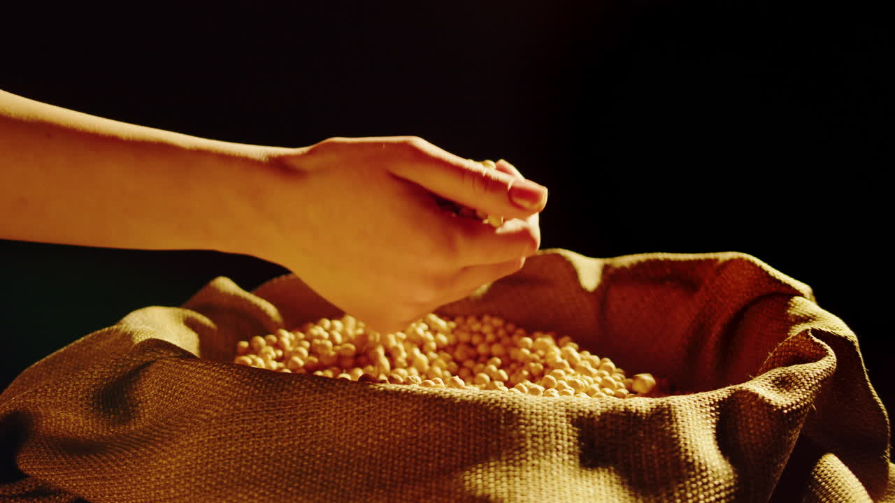 Hand inspecting and pouring soybeans into a sack