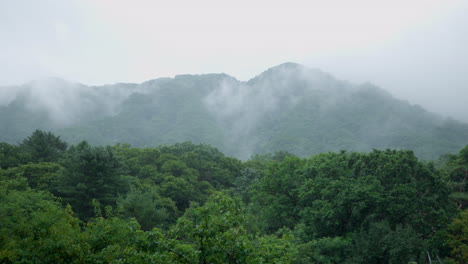 Mountain-Landscape-on-Rainy-Day-With-Mist-And-Fogs-in-South-Korea---panning-right