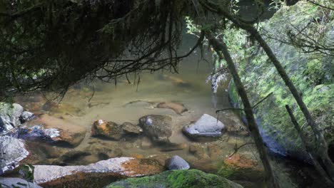 large rocks in a small flowing river during springtime