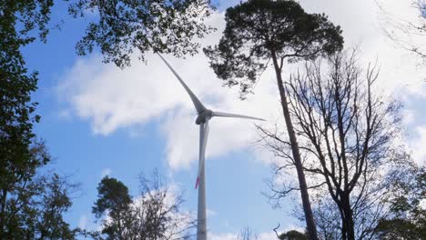 turbina eólica frente al cielo azul visto a través de las copas de los árboles