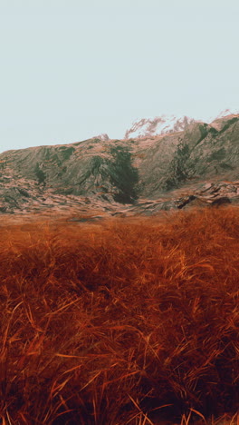 mountain with snowcapped peak overlooking a field of tall brown grass