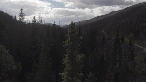 Antena-Que-Muestra-El-Paisaje-Montañoso-Y-Luego-Aterriza-Lentamente-Detrás-De-Un-Pino